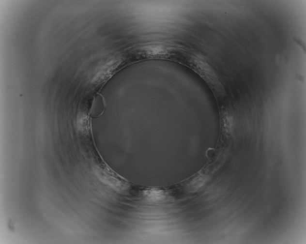 X0000102460419200808081232