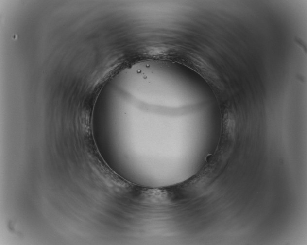 X0000102460421200808081232