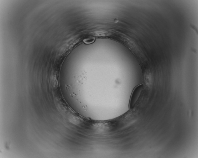 X0000102460422200808081232