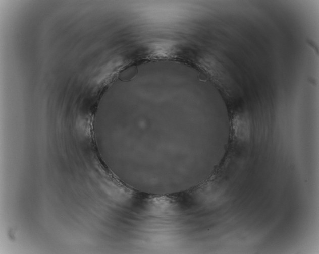 X0000102460423200808081232