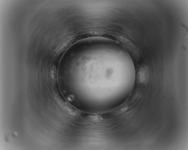 X0000102460424200808081232