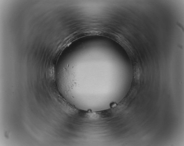 X0000102460425200808081232