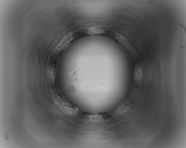 X0000102460426200808081232