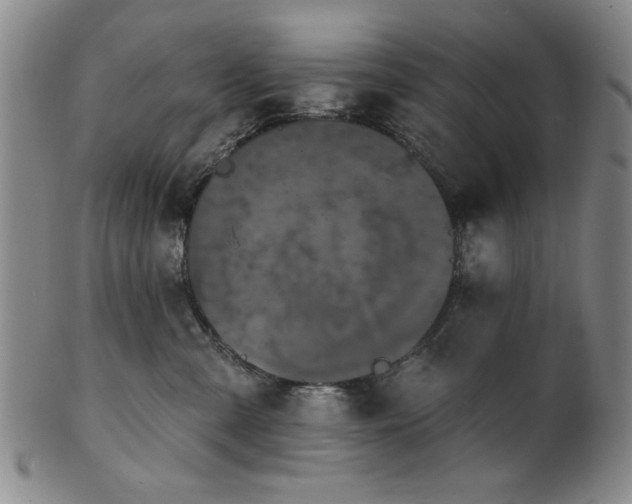 X0000102460427200808081232