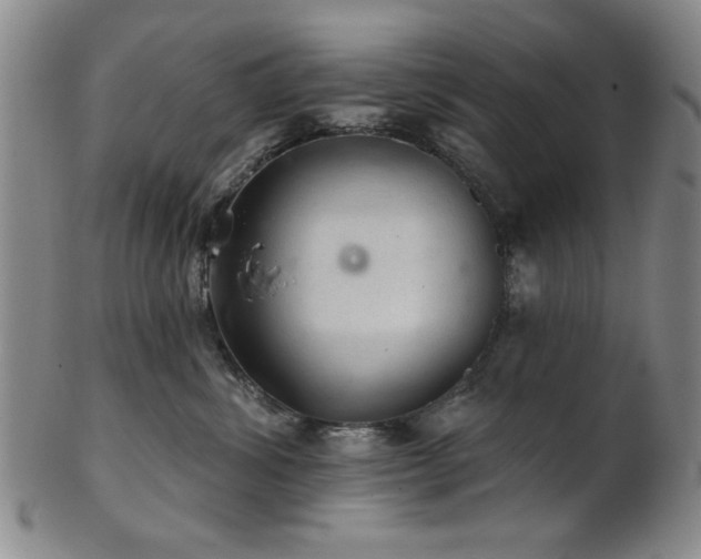 X0000102460428200808081231