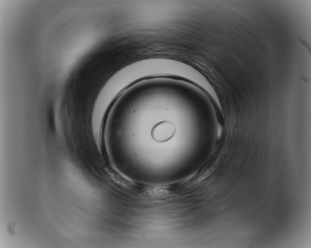 X0000102460429200808081231