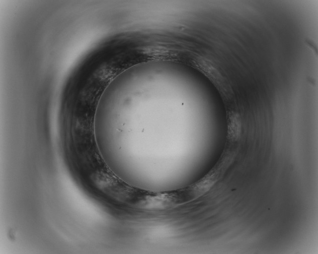 X0000102460430200808081231