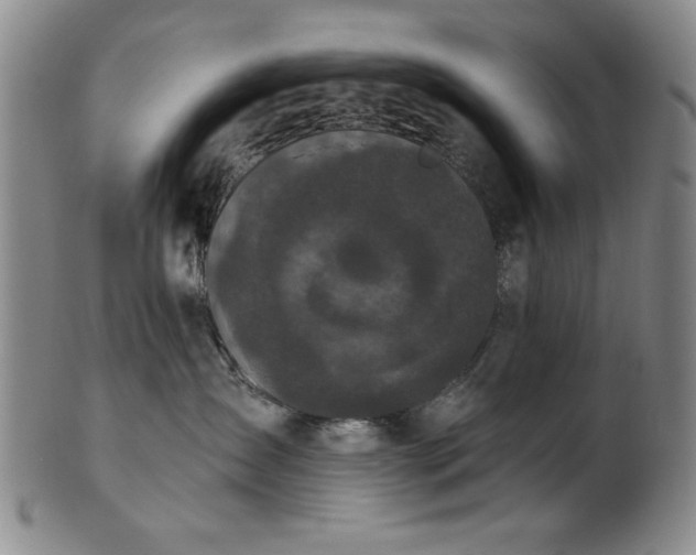 X0000102460431200808081231