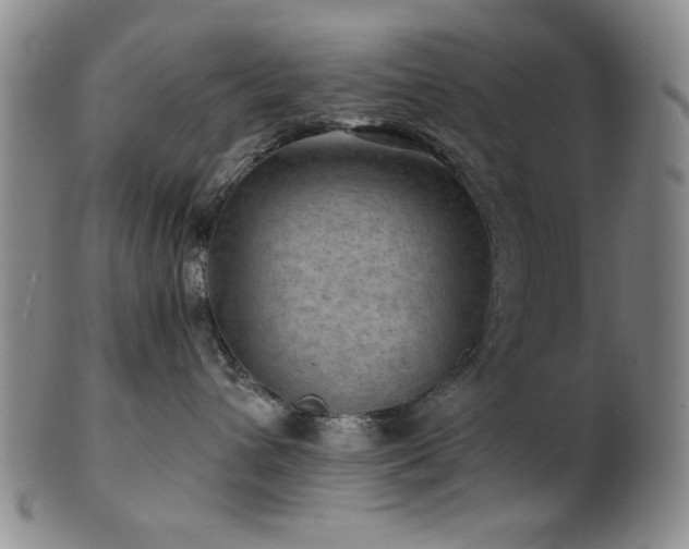 X0000102460432200808081231