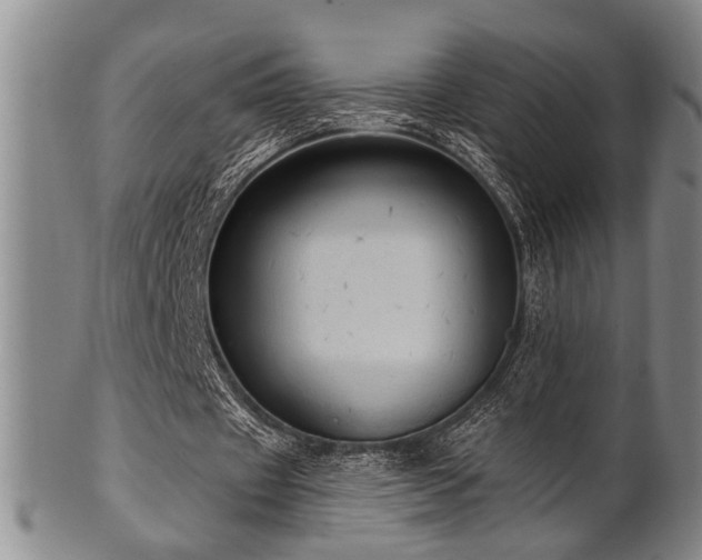 X0000102460433200808081231