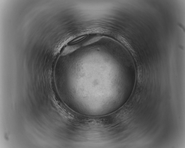 X0000102460434200808081231