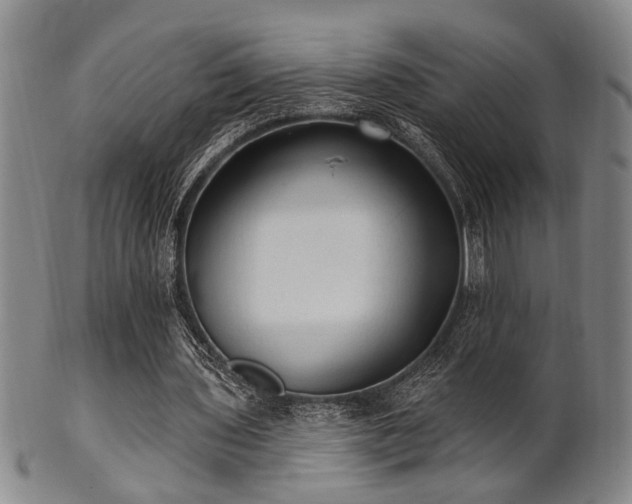 X0000102460435200808081231