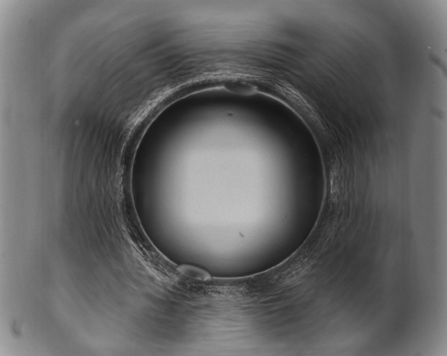 X0000102460436200808081231