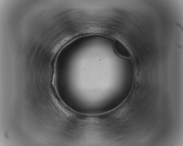 X0000102460437200808081231