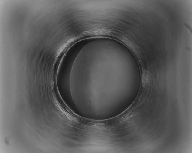 X0000102460438200808081231