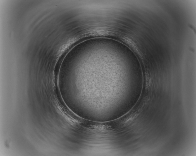 X0000102460439200808081231