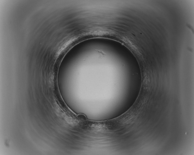 X0000102460440200808081231