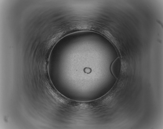 X0000102460441200808081231