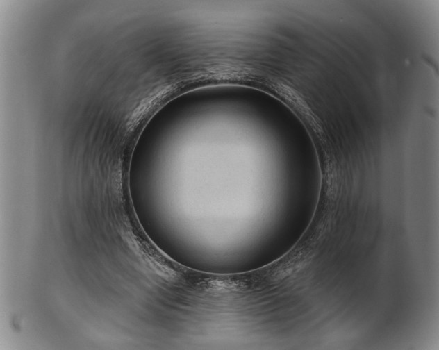 X0000102460442200808081231