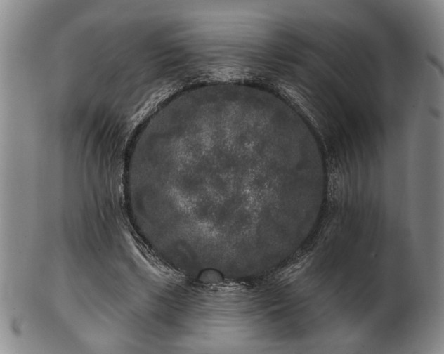 X0000102460443200808081231