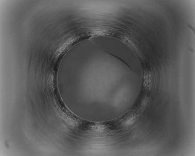 X0000102460444200808081231