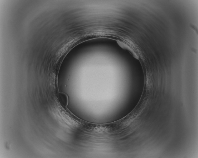 X0000102460445200808081231