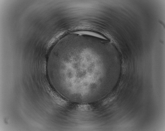 X0000102460446200808081231