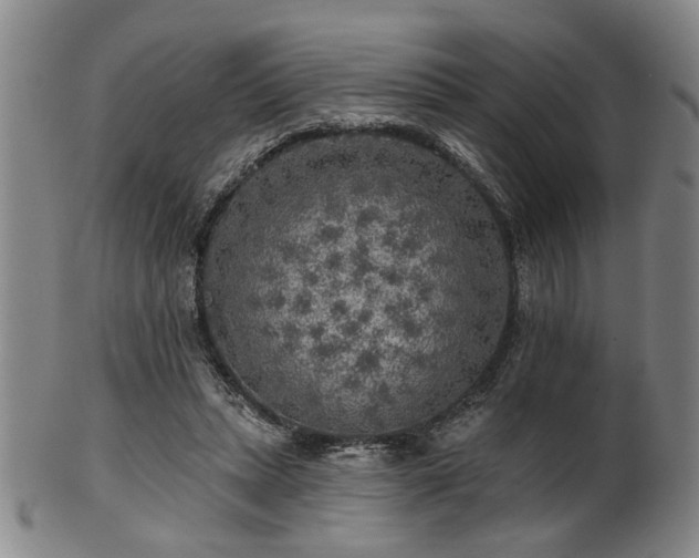 X0000102460447200808081231