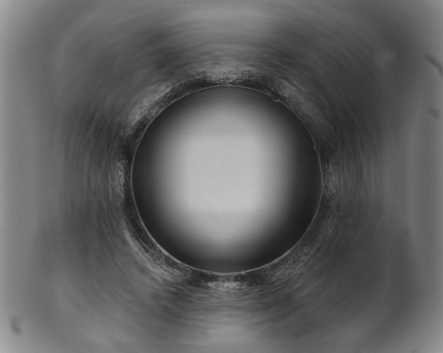 X0000102460448200808081231