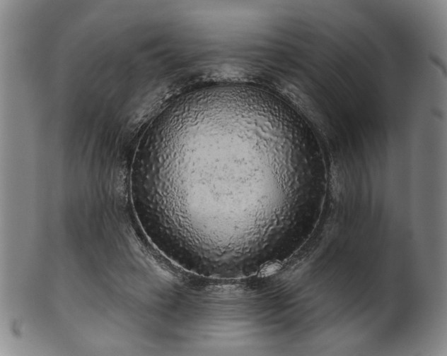 X0000102460449200808081231