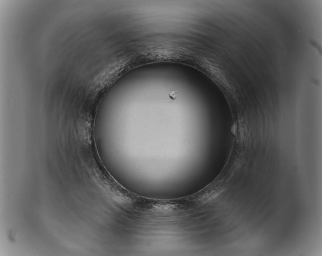 X0000102460450200808081231