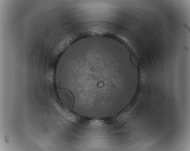 X0000102460451200808081231