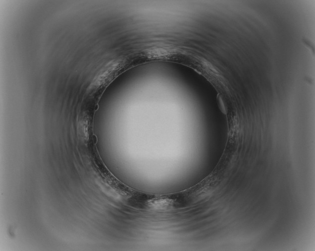 X0000102460452200808081231