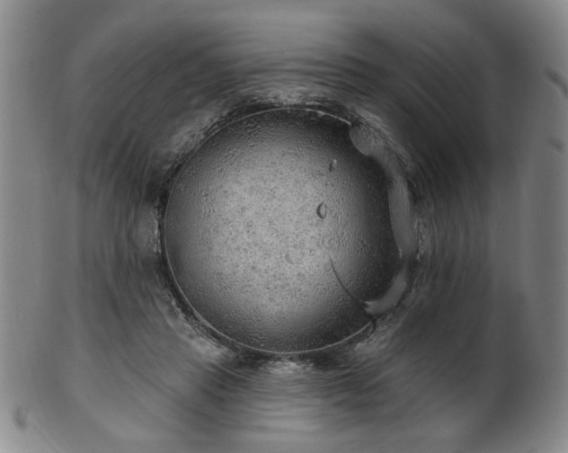 X0000102460453200808081231