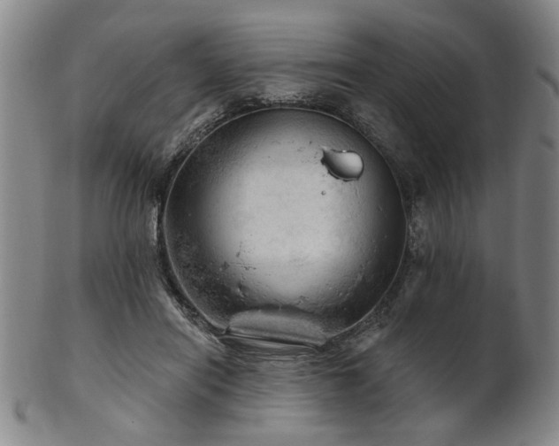 X0000102460454200808081231