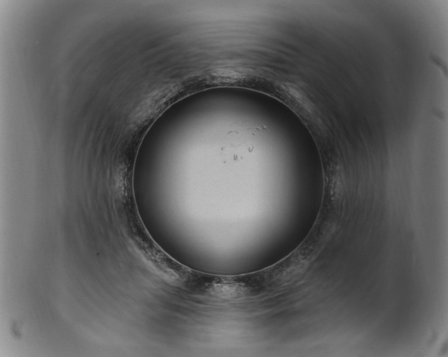 X0000102460455200808081231