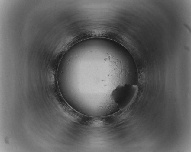 X0000102460456200808081231