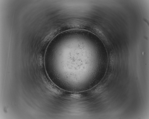 X0000102460457200808081231