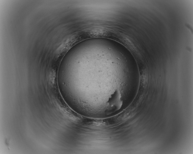 X0000102460458200808081231