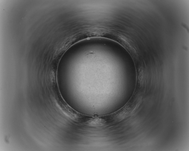 X0000102460459200808081231