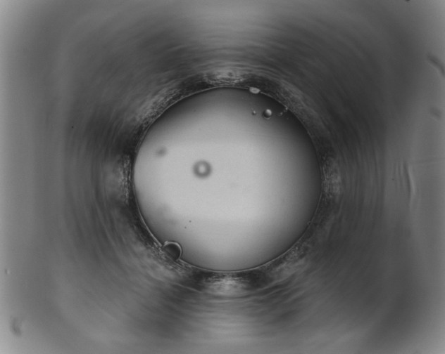 X0000102460460200808081231