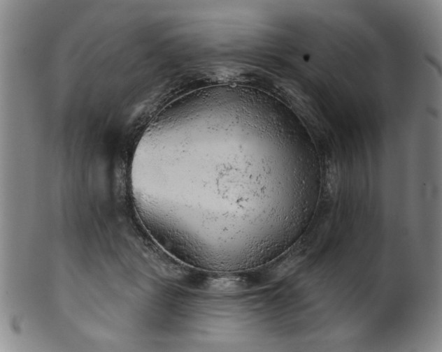 X0000102460461200808081231