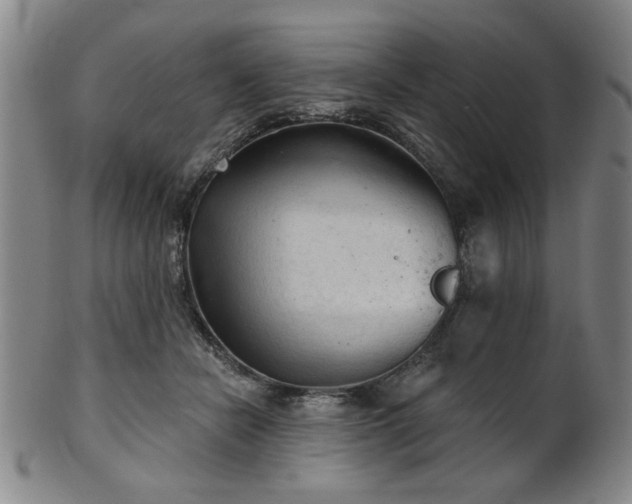 X0000102460462200808081231