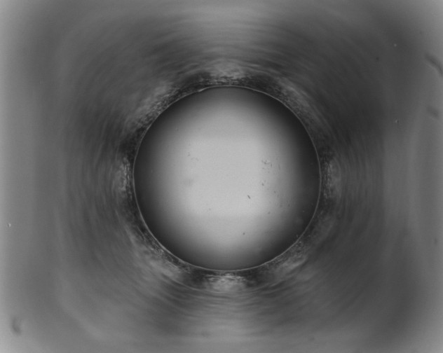 X0000102460463200808081231