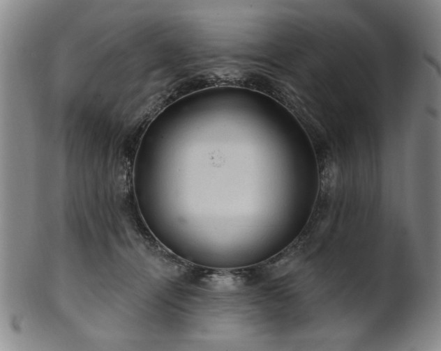 X0000102460464200808081231