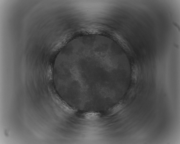 X0000102460465200808081231