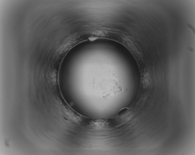 X0000102460466200808081231