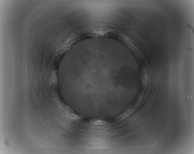 X0000102460467200808081231