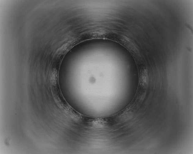 X0000102460468200808081231