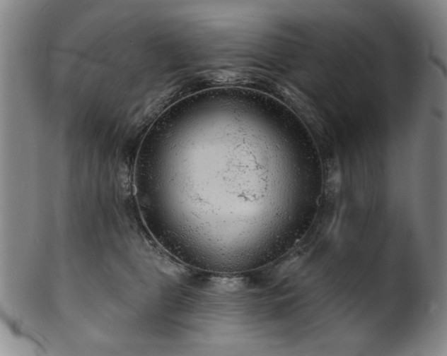 X0000102460469200808081231